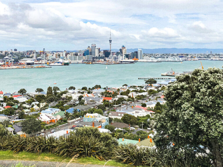 Best Auckland activities
