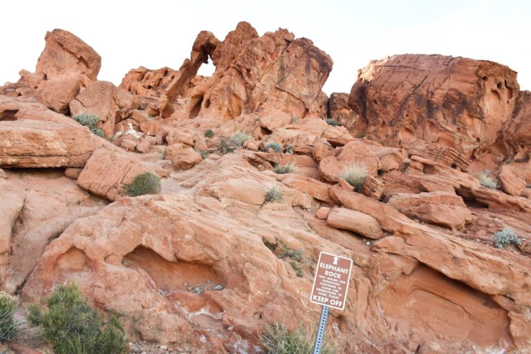 Valley of Fire is one of the most popular say trips from Las Vegas.