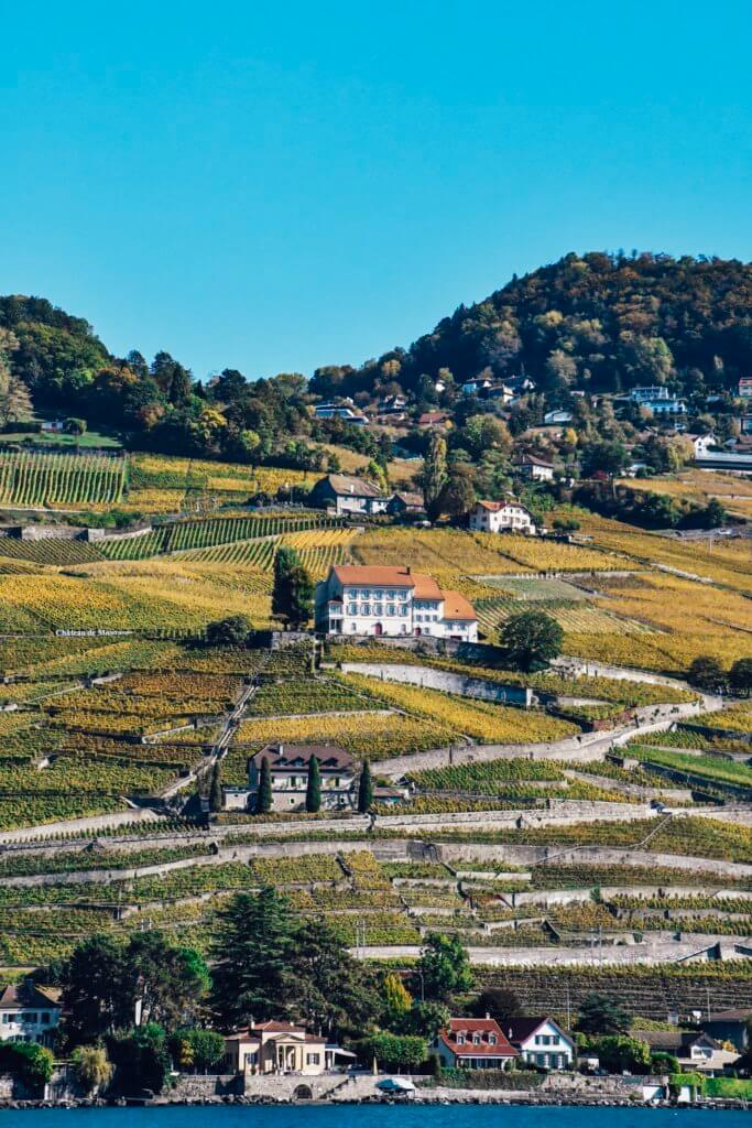 Lavaux wine terraces is a UNESCO World Heritage Site and one of the best places to visit near Lausanne. 