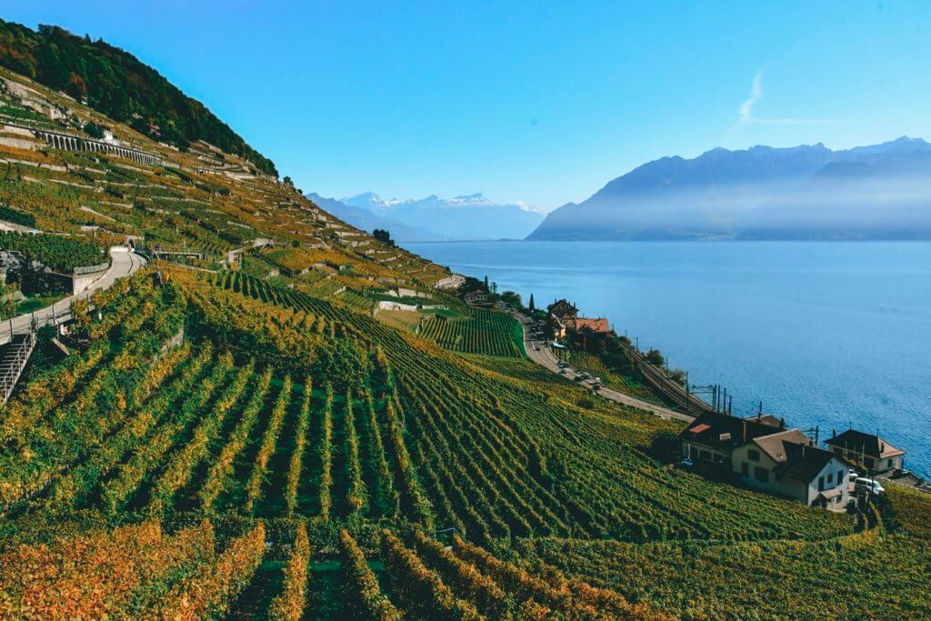 Lavaux wine terraces is one of the most beautiful places in Switzerland