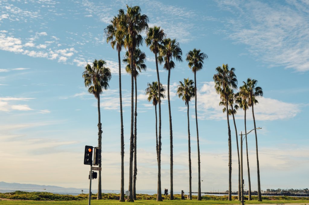 Exploring local beaches is one of the best things to do in Santa Barbara.