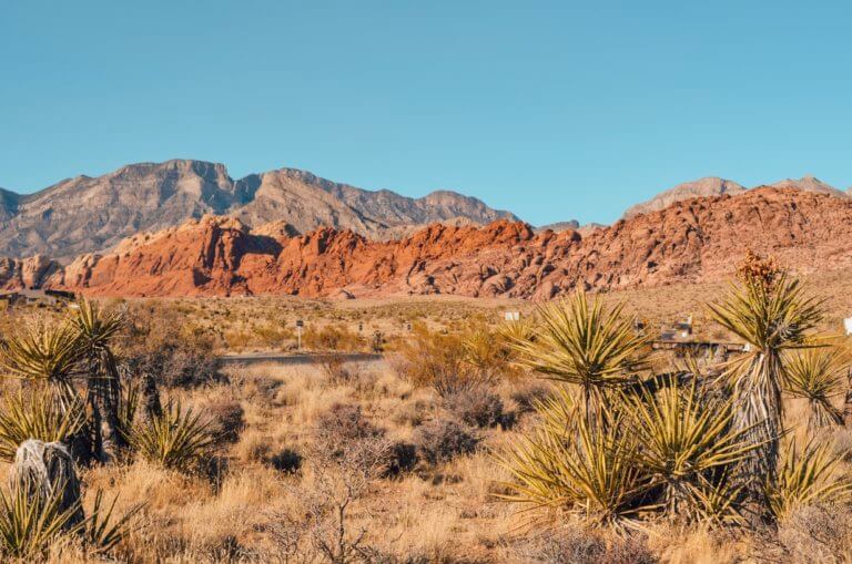 10 Awesome places to visit near Las Vegas by car - The Discovery Nut