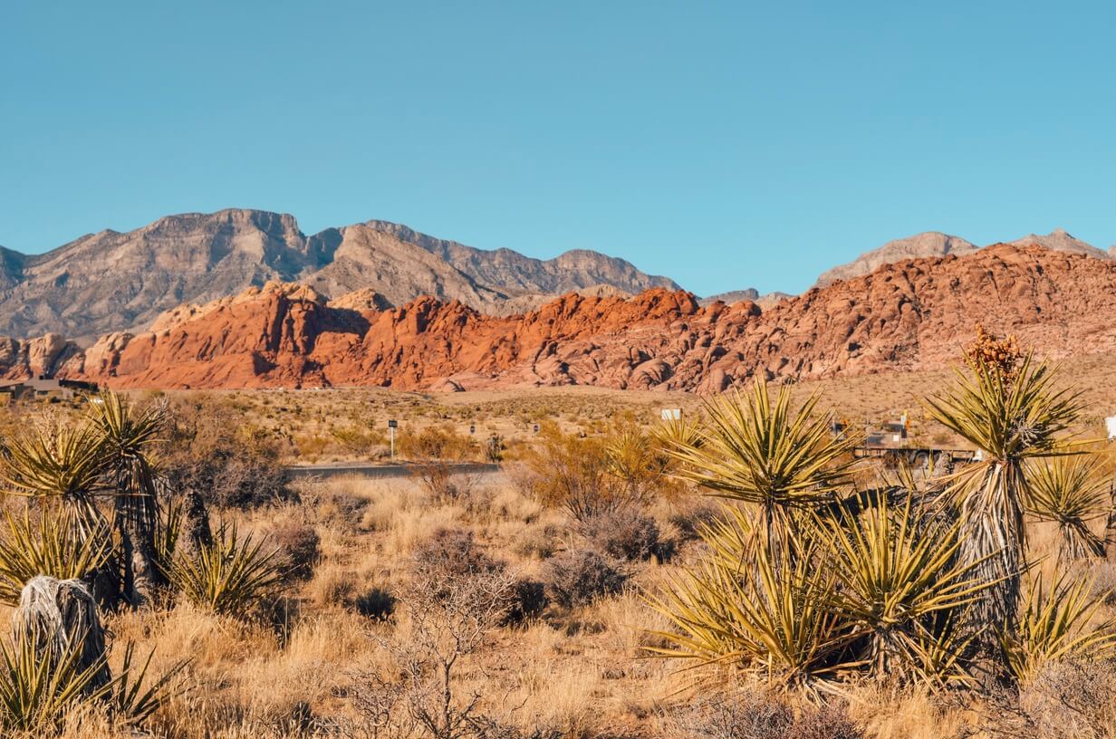 day trips from las vegas by car