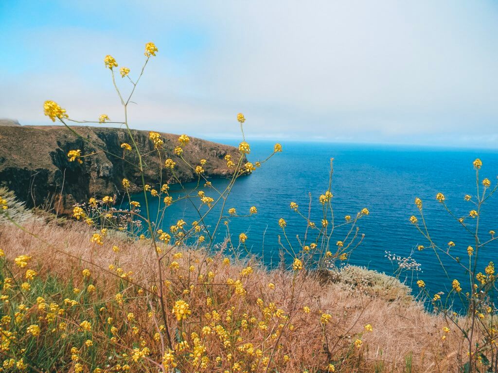 Channel Islands National Park is one of the best day trips from Santa Barbara