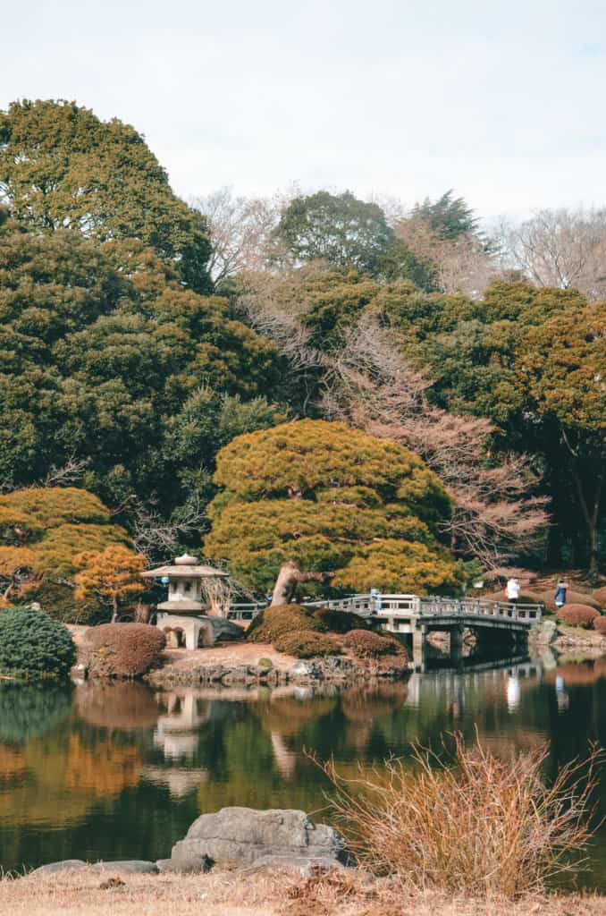 Gyoen Park, Shonjuku, Tokyo