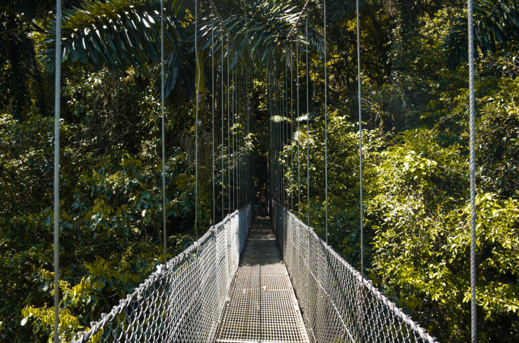 Walking on Mistico Arenal Hanging Bridges is one of the most fun things to do in Costa Rica. 