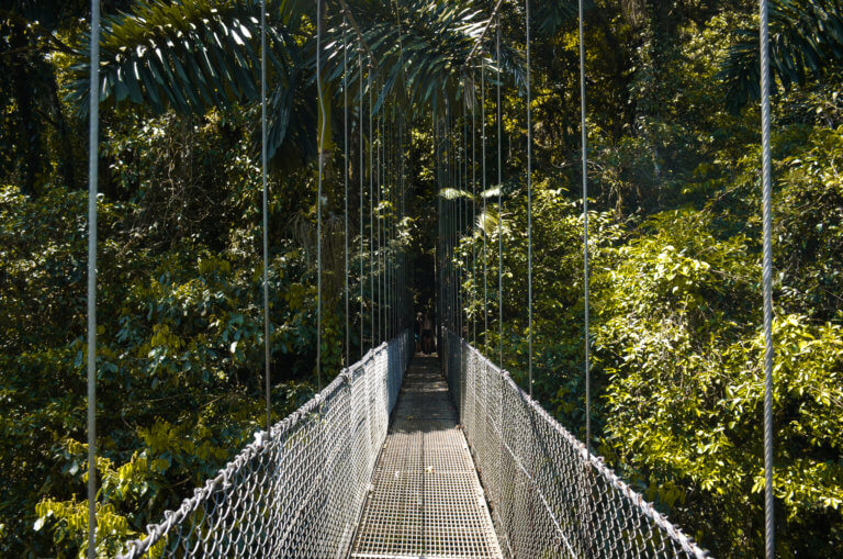 Arenal Hanging Bridges is one of the most scenic areas in Arenal.