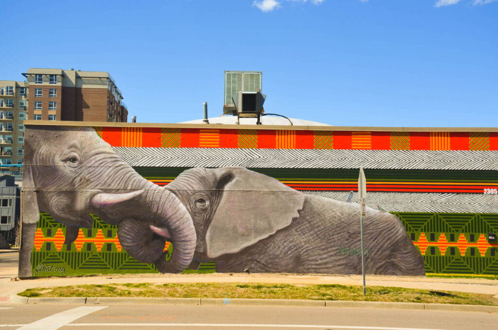Exploring local street art is one of the best things to do in Denver
