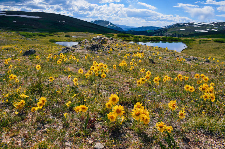 Independence Pass is one of the best places to visit in Colorado