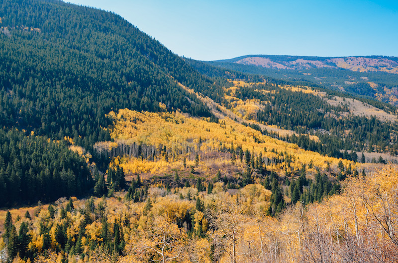 Aspen is one of the best road trips from Denver