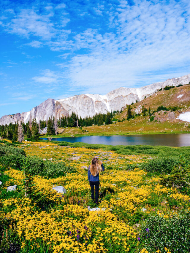 Best Day Trips From Denver