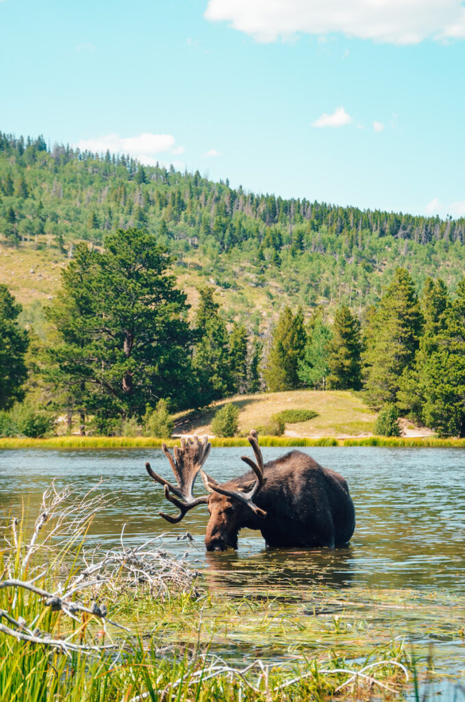 Best things to do in Rocky Mountain National Park