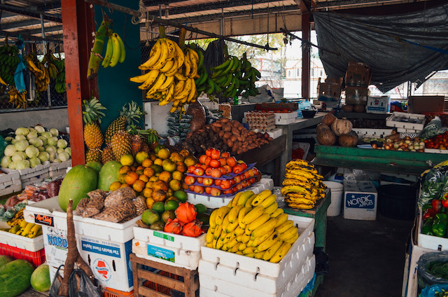 Best things to do in San Ignacio, Belize