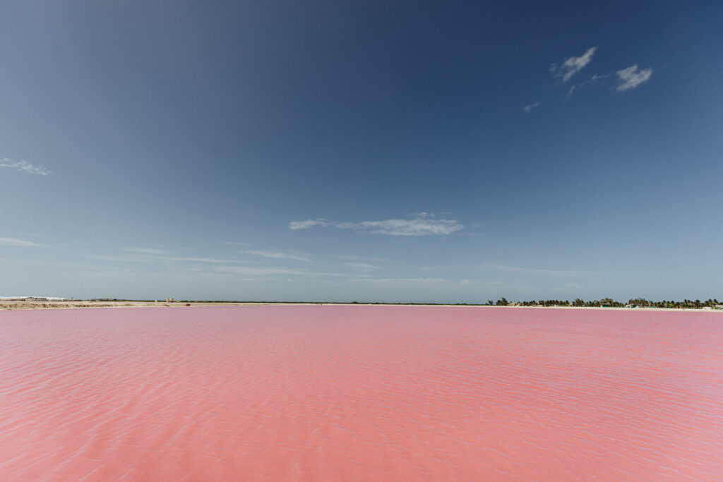 Visiting Los Coloradas is one of the best things to do in Yucatan thanks to their amazing pink color.
