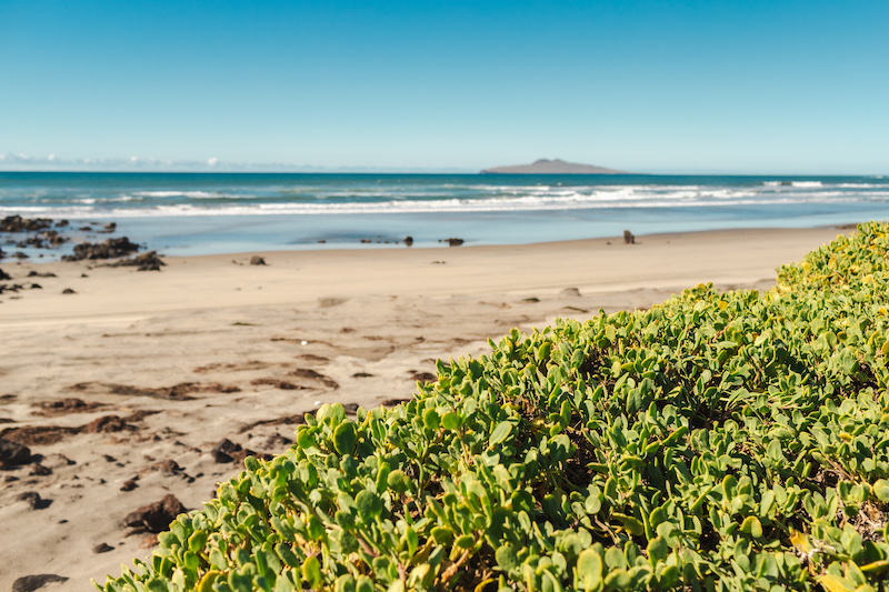 San Quintin is one of the best non-touristy beach towns in Mexico