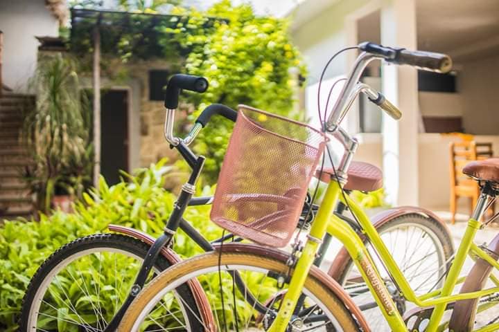 Many Bacalar hotels offer bike rentals  . 