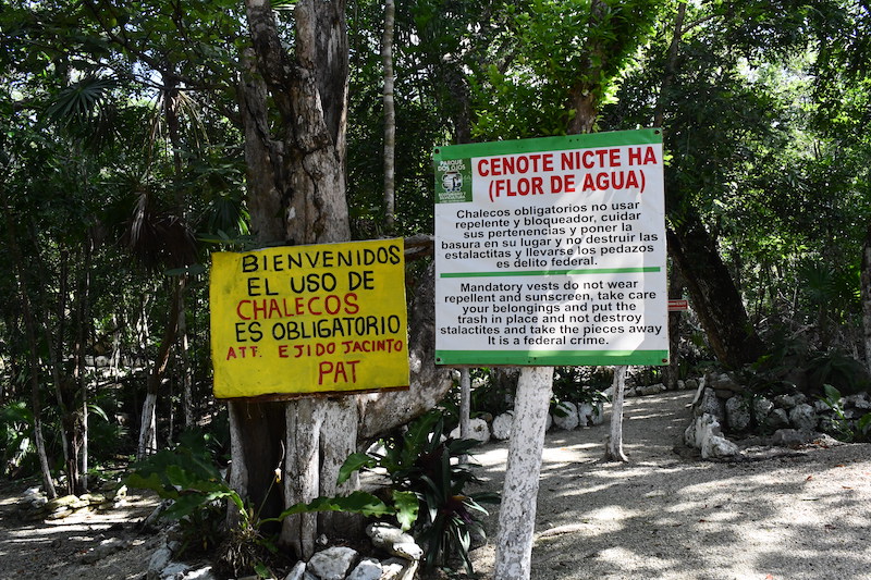 Renting a car is the best option if you want to visit some of the best Tulum cenotes.