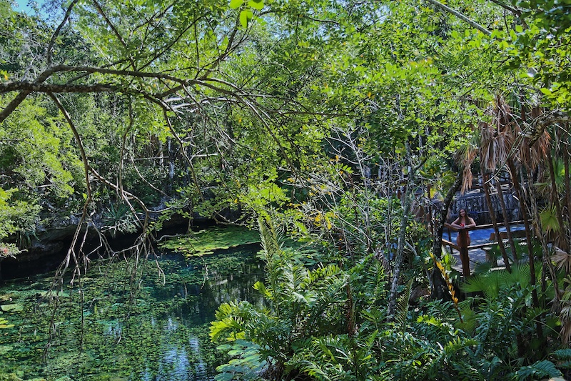 Cenote Nikte Ha is one of the least visited cenotes near Tulum.