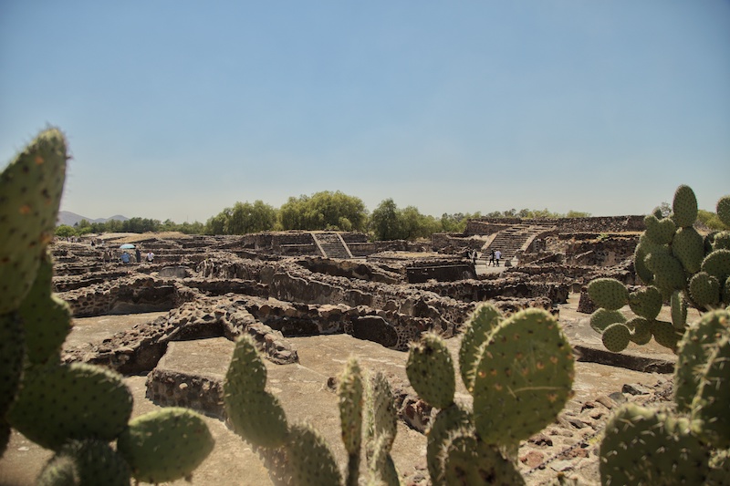 Teotihuacan is one of the best places to visit on your 5 days in Mexico City itinerary