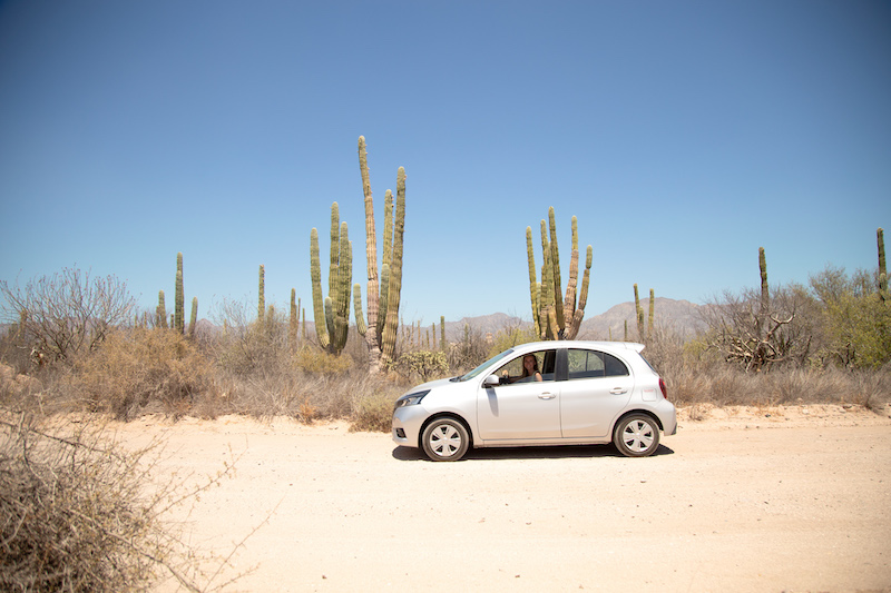 Is it safe to drive in Cabo? Yes, Cabo is a compact town and you can easily navigate it with a rental car.