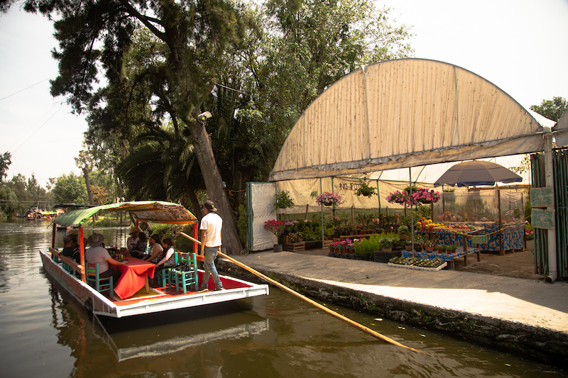 Best things to do in Xochimilco