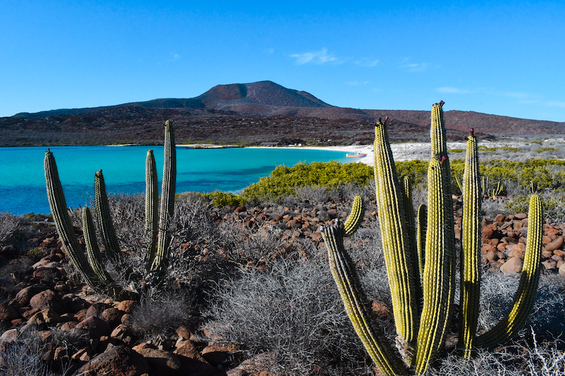 Baja California itinerary