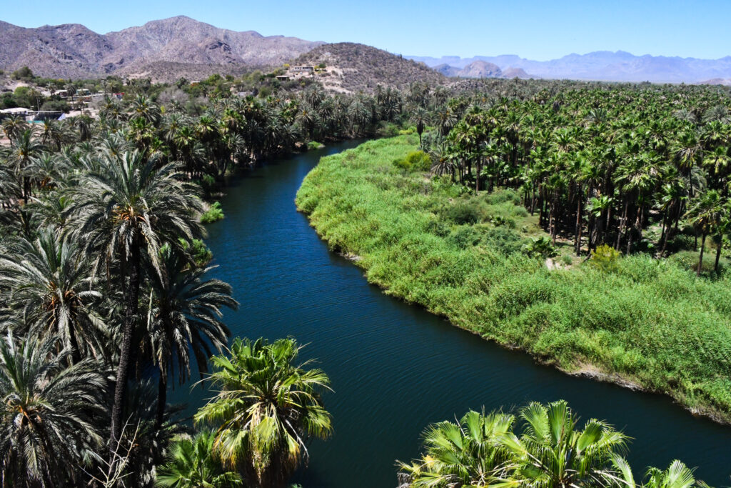 Mulege is a must stop on your Baja California Itinerary 