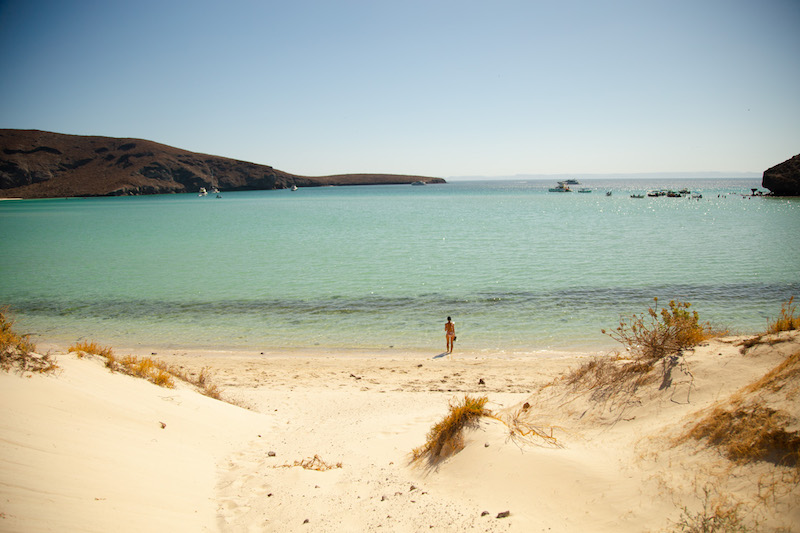 Located just outside of La Paz, Balandra Beach is a must stop on your Baja California itinerary. This beach boasts crystal clear shallow waters that are perfect for swimming and kayaking on a hot summer day.