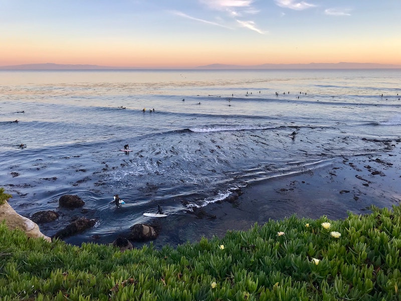 Santa Cruz is one of the most popular day trips from San Francisco that's located only 1 hour and 20 minutes away from the Bay Area.