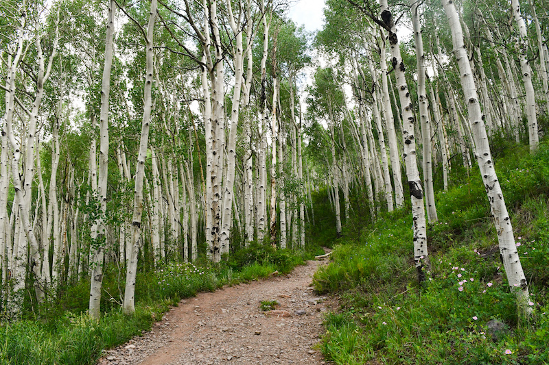 Hiking is one of the best things to do in Telluride in summer.