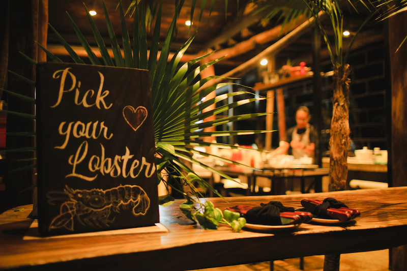 Tulum has a good variety of restaurants for all tastes and price points.