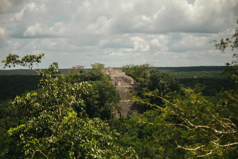 Calakmul ruins is one of the best day trips from Campeche.