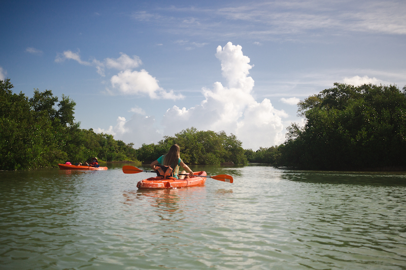 Kayaking through mangroves is one of the best things to do in Holbox Island Mexico