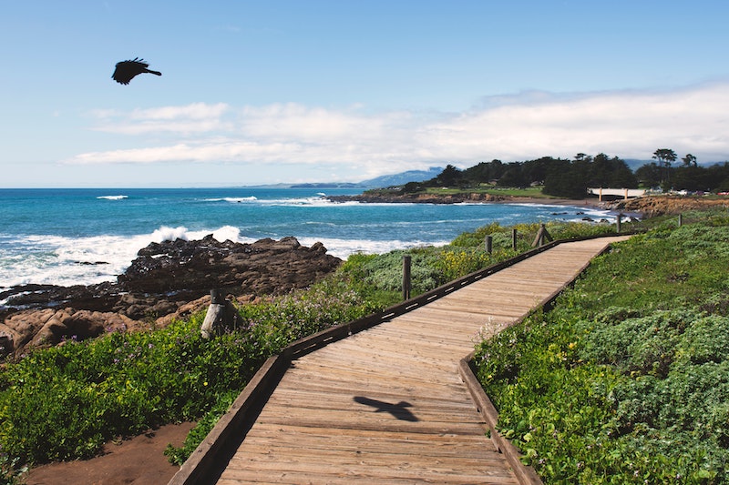 Cambria is one of the most beautiful cities in Central California