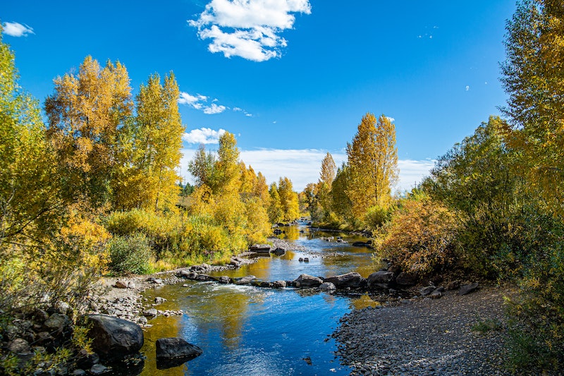 Steamboat springs is home to one of the best swimming lakes in Colorado