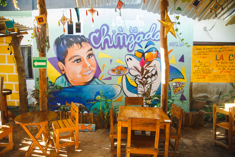 La Chingada offers some of the best seafood in Holbox with ceviche and fish tacos particularly popular among visitors