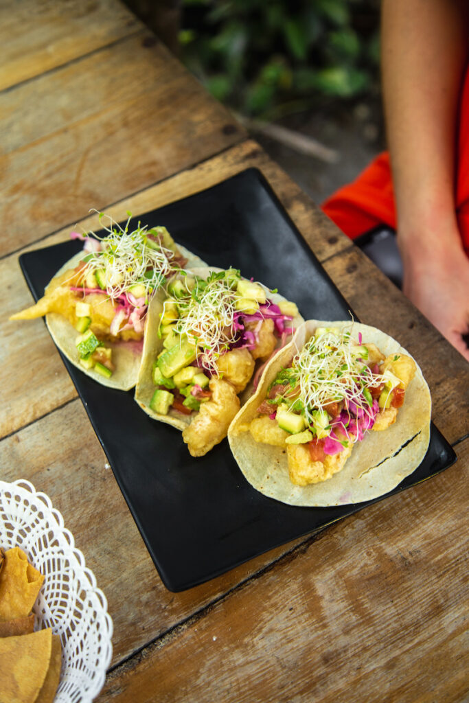 Ceviche a la Chingada is a popular seafood in Holbox that has some of the best fish tacos on the island.