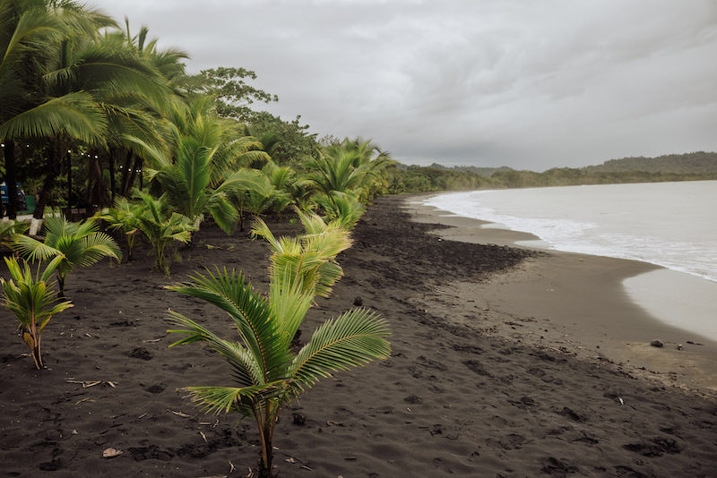 Summer is a great time for surfing in Costa Rica if you are an experienced surfer 