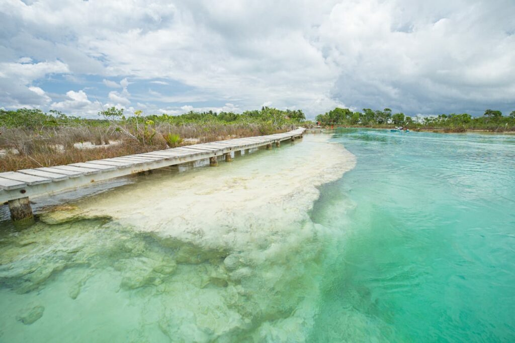 Bacalalr stromatolites are the oldest forms of life on the planet and can be found on the Bacalar Lagoon
