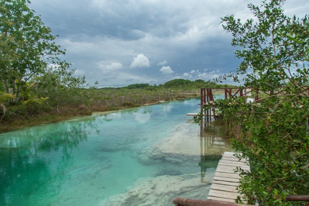 Stromatolites are the oldest forms of life on the planet that can be found in many parts of the Bacalar lagoon.