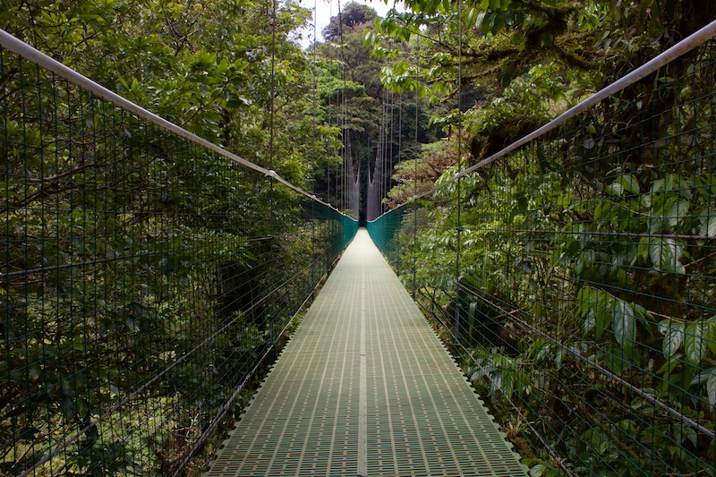 Monteverde is the most famous Cloud Forest in Costa Rica that boasts amazing hanging bridges from where you can watch wildlife