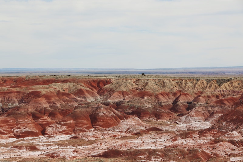 Petrified Forest is one of the hidden gems of Northern Arizona 