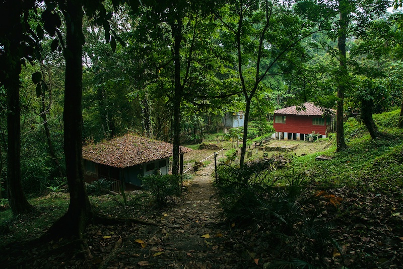 If you are looking to visit the best Chiapas waterfalls like Misol-Ha and Agua Azul, you should spend the night in Palenque 