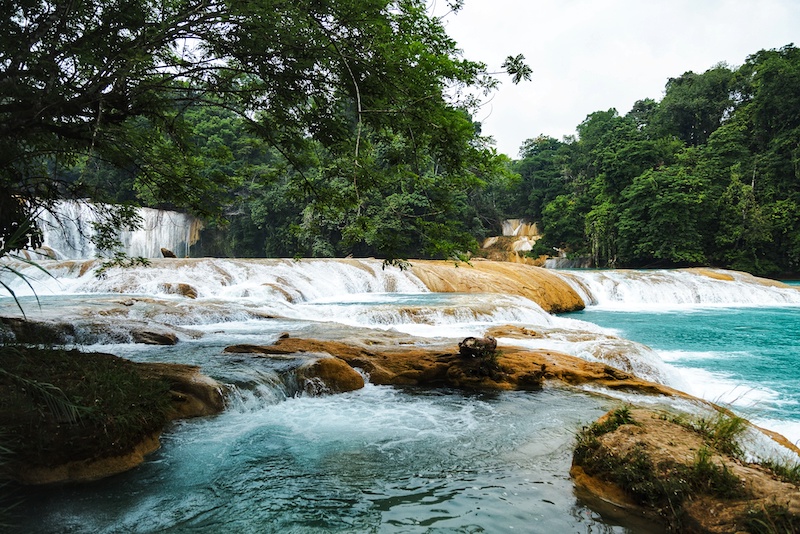 Agua Azul is one of the most popular waterfalls in Chiapas which can be visited on a day trip from Palenque