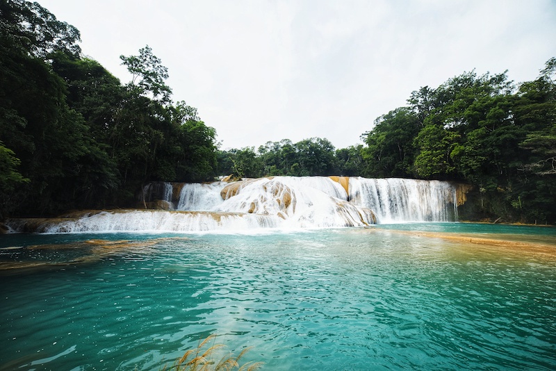 Agua Azul is a popular day trip from Palenque which can be visited by car, by guided tour or public transport
