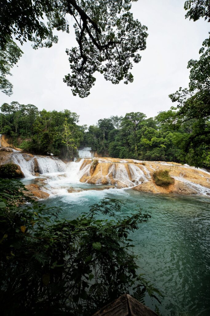 Agua Azul is one of the mostpopualr day trips from Palenque