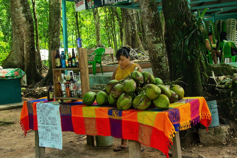 You can find plenty food vendors near Agua Azul waterfalls in Chiapas