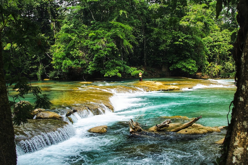 The best way to visit Agua Azul waterfalls in Chiapas is by renting a car