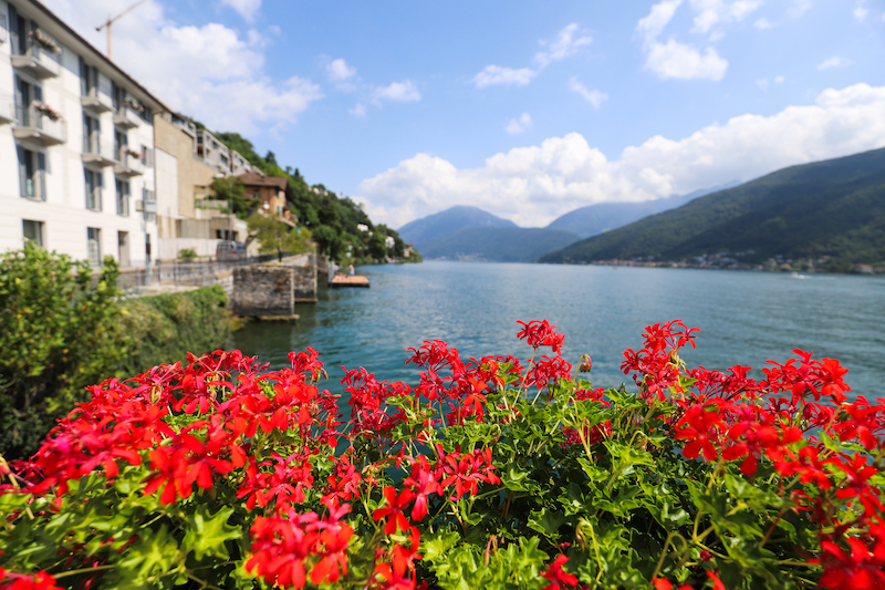 Located on the shores on Lake Lugano in Switzerland, Morcote boasts Mediterranean-like climate and plenty of sunshine.