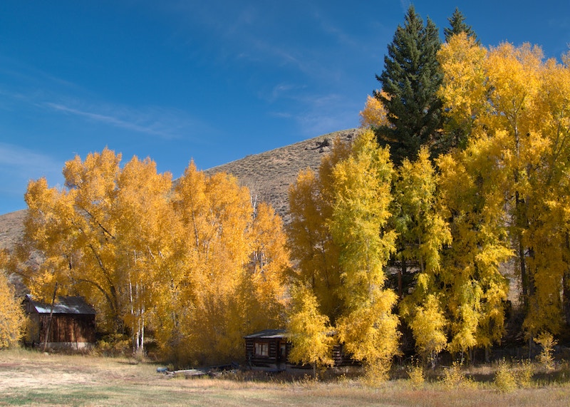 Aspen in September is perfect for hiking and taking photos of the gorgous landscapes.
